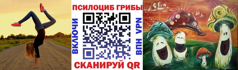 Псилоцибиновые грибы Psilocybine cubensis  как найти закладки  Нерчинск 
